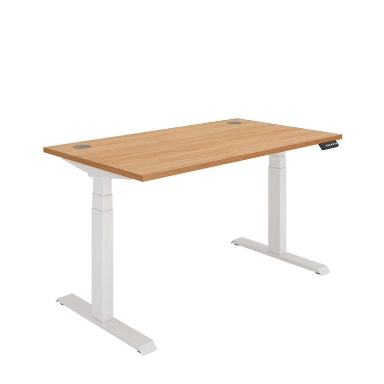 Office Rectangular Dual Motor Sit Stand Desk (FSC)
