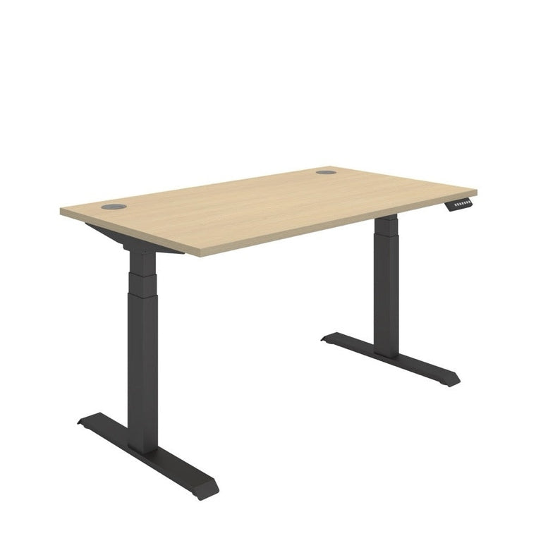Office Rectangular Dual Motor Sit Stand Desk (FSC)