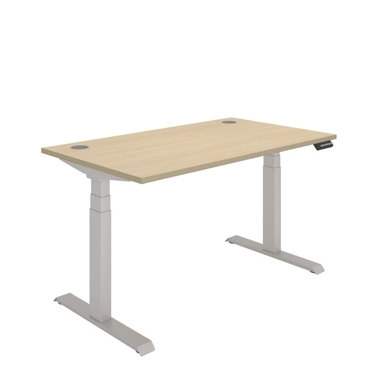 Office Rectangular Dual Motor Sit Stand Desk (FSC)
