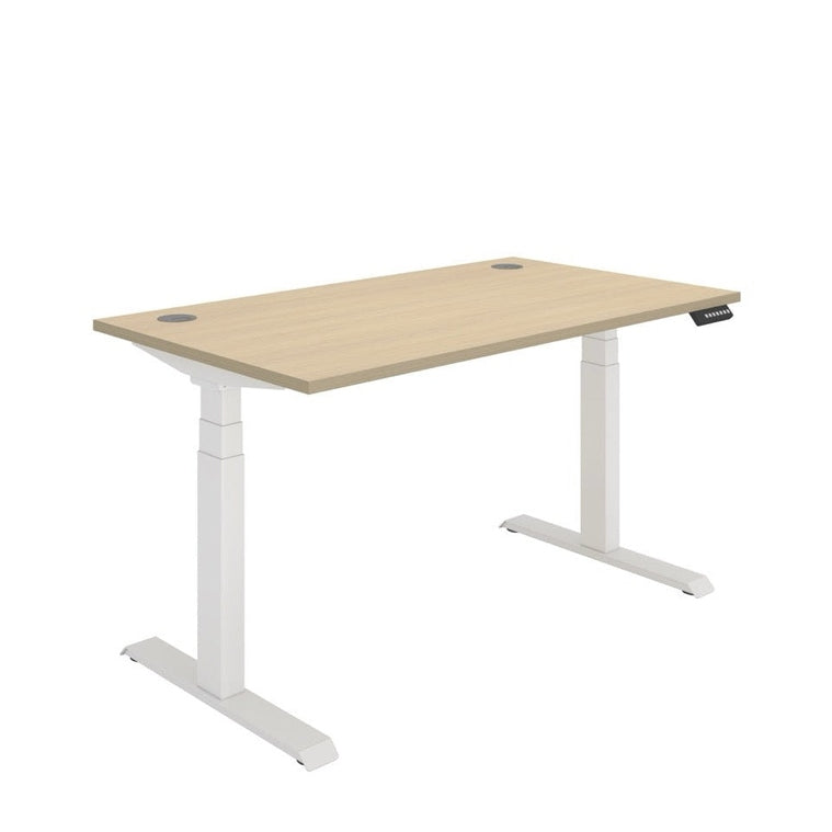 Office Rectangular Dual Motor Sit Stand Desk (FSC)