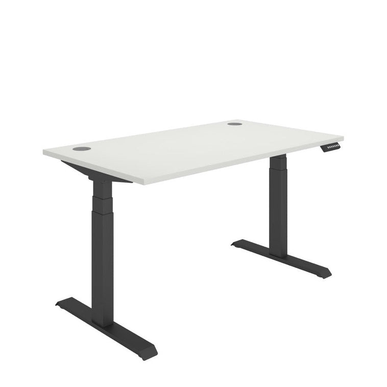 Office Rectangular Dual Motor Sit Stand Desk (FSC)