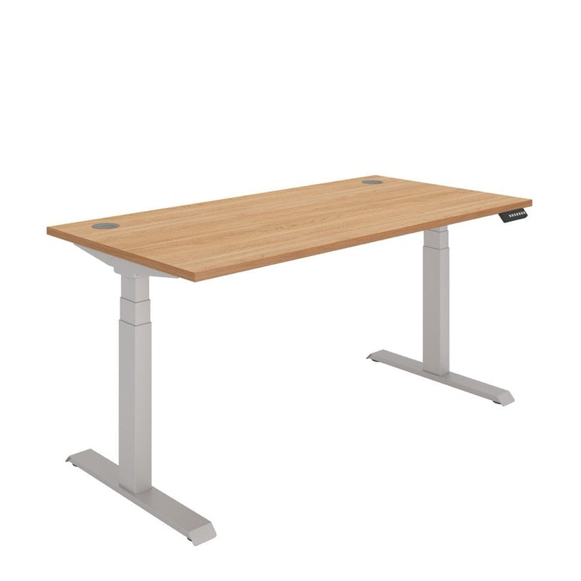 Office Rectangular Dual Motor Sit Stand Desk (FSC)