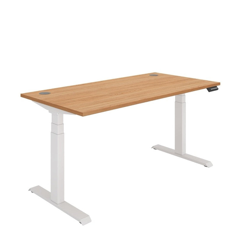 Office Rectangular Dual Motor Sit Stand Desk (FSC)