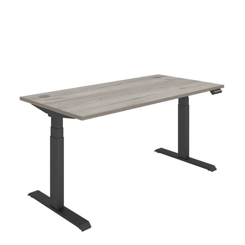 Office Rectangular Dual Motor Sit Stand Desk (FSC)