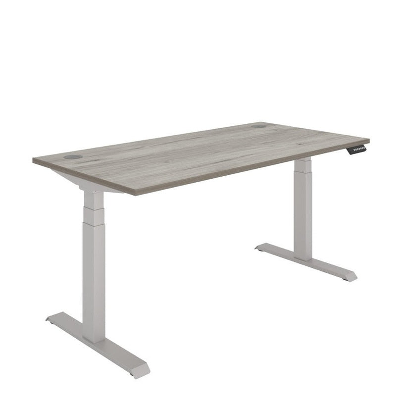 Office Rectangular Dual Motor Sit Stand Desk (FSC)