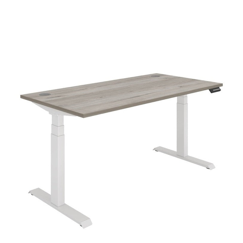 Office Rectangular Dual Motor Sit Stand Desk (FSC)