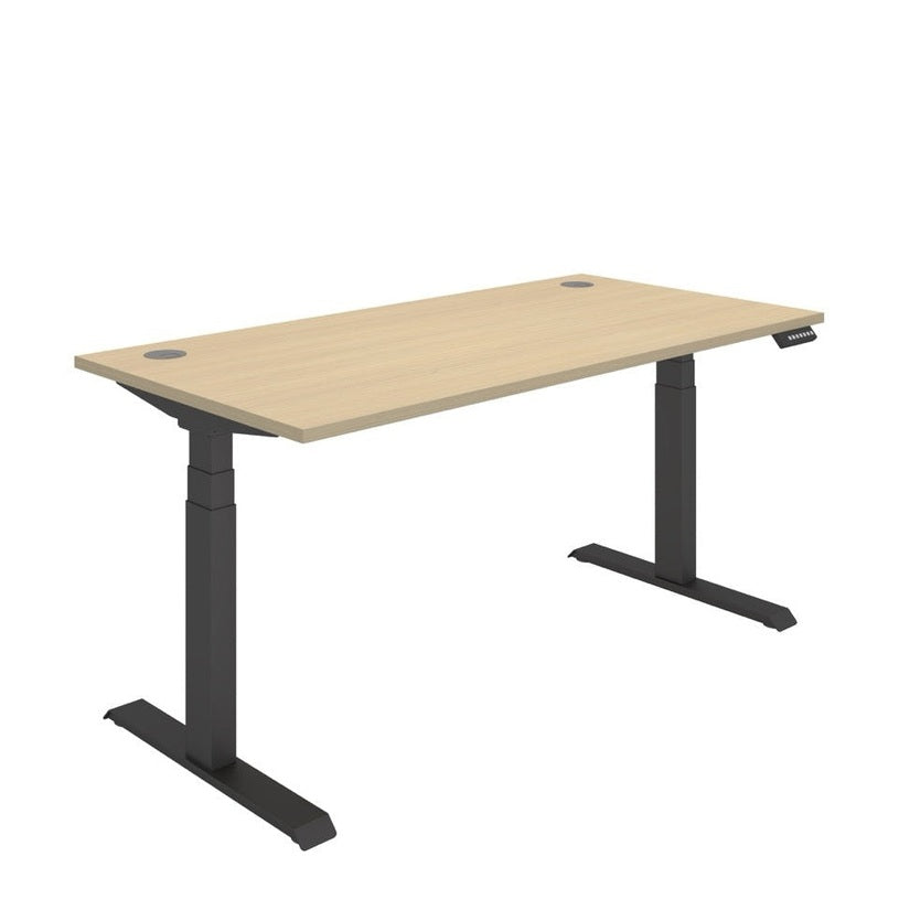 Office Rectangular Dual Motor Sit Stand Desk (FSC)