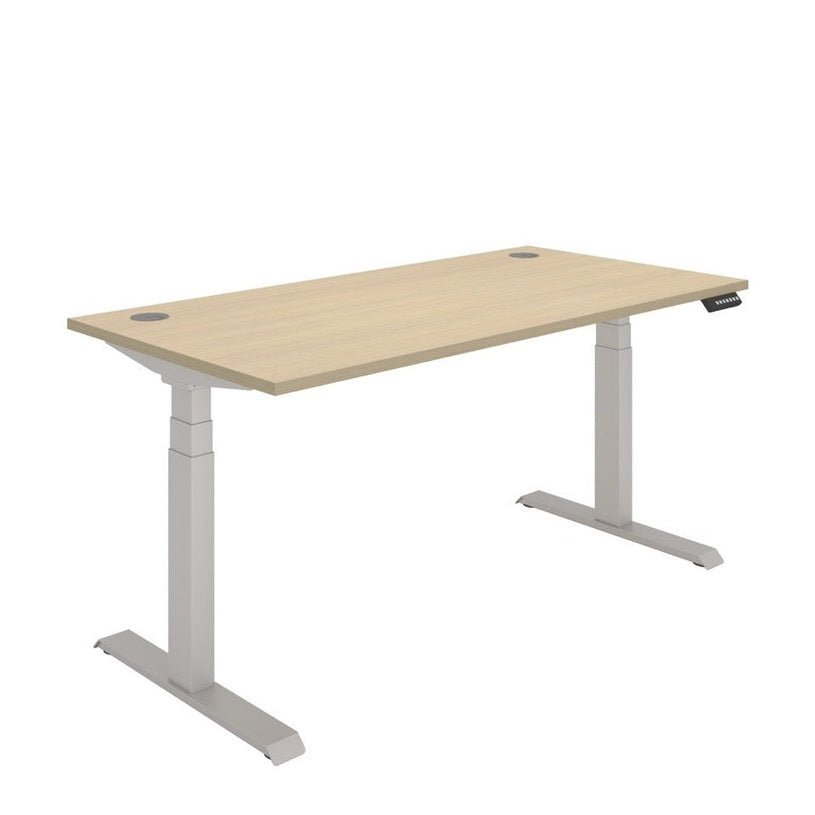 Office Rectangular Dual Motor Sit Stand Desk (FSC)