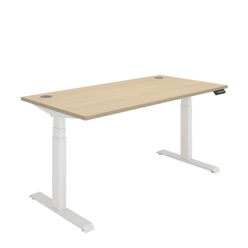 Office Rectangular Dual Motor Sit Stand Desk (FSC)