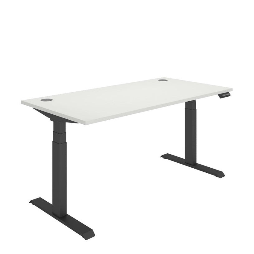 Office Rectangular Dual Motor Sit Stand Desk (FSC)