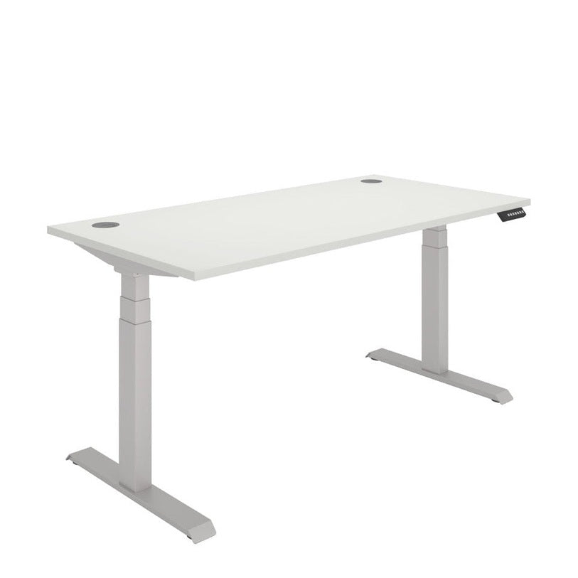 Office Rectangular Dual Motor Sit Stand Desk (FSC)