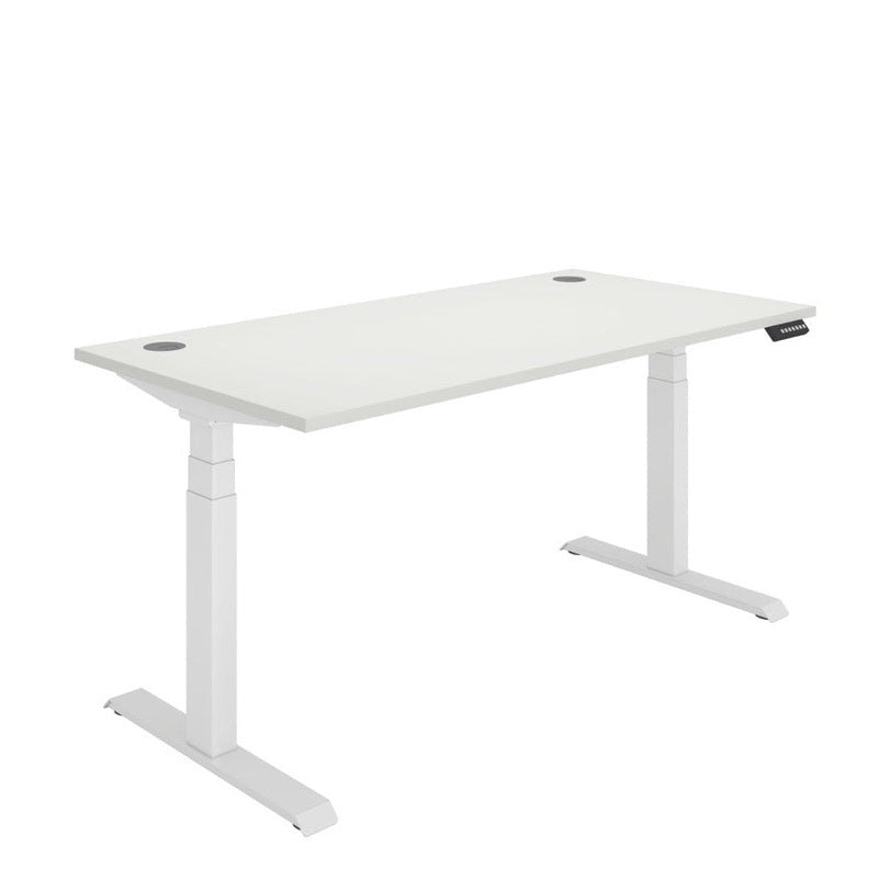 Office Rectangular Dual Motor Sit Stand Desk (FSC)