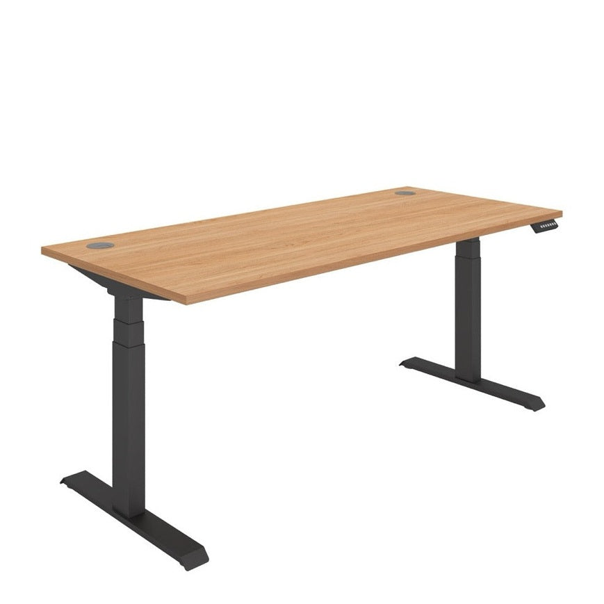 Office Rectangular Dual Motor Sit Stand Desk (FSC)