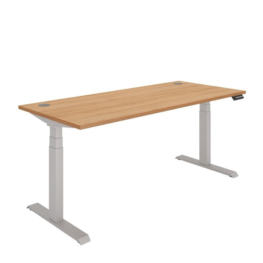 Office Rectangular Dual Motor Sit Stand Desk (FSC)