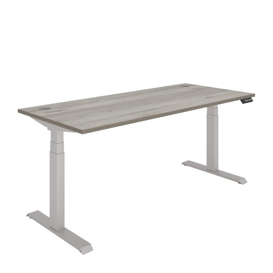 Office Rectangular Dual Motor Sit Stand Desk (FSC)