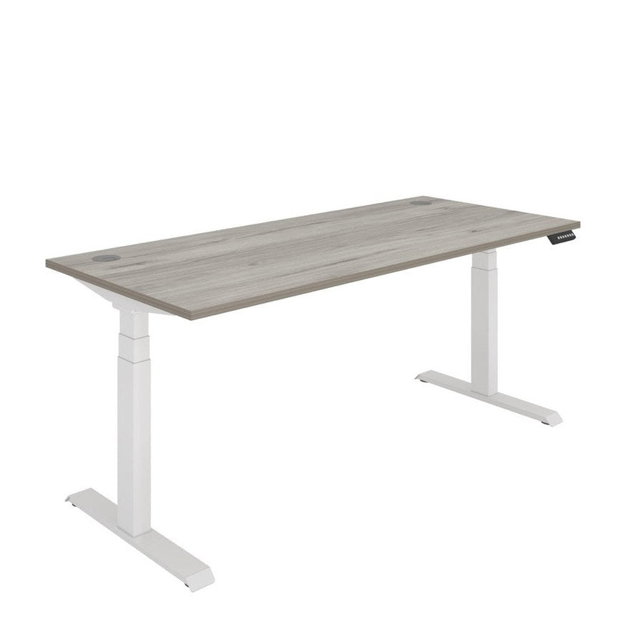 Office Rectangular Dual Motor Sit Stand Desk (FSC)