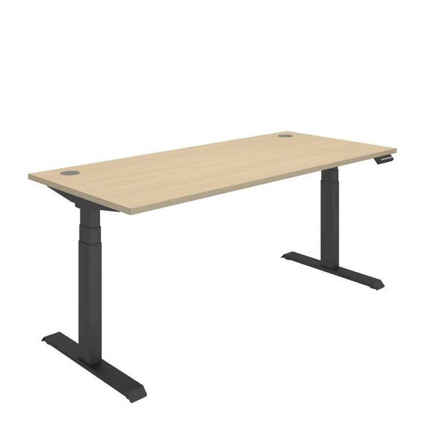 Office Rectangular Dual Motor Sit Stand Desk (FSC)