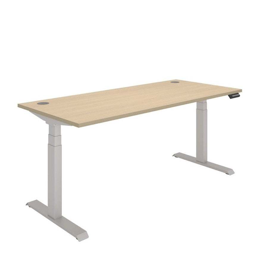 Office Rectangular Dual Motor Sit Stand Desk (FSC)