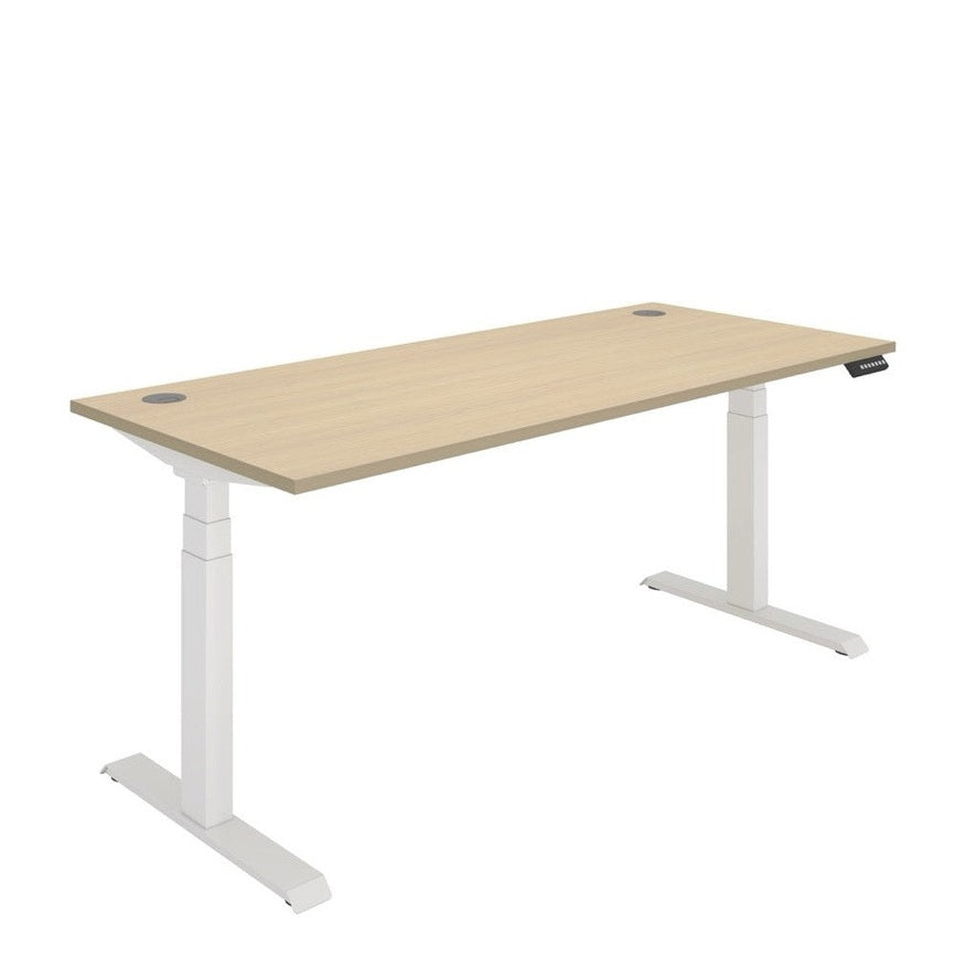 Office Rectangular Dual Motor Sit Stand Desk (FSC)