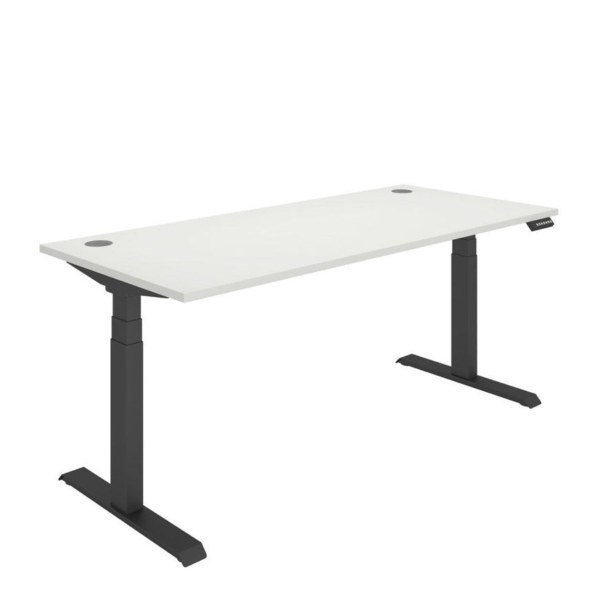 Office Rectangular Dual Motor Sit Stand Desk (FSC)