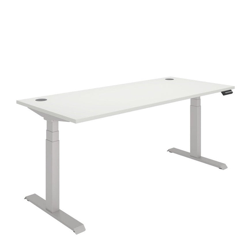 Office Rectangular Dual Motor Sit Stand Desk (FSC)