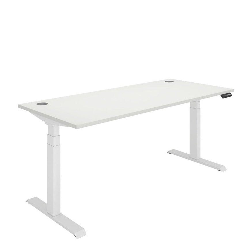 Office Rectangular Dual Motor Sit Stand Desk (FSC)