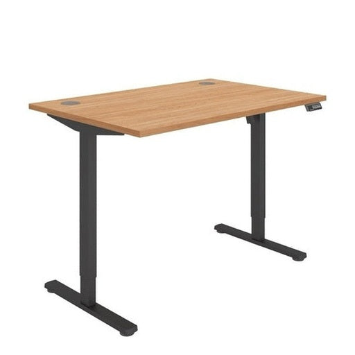 Office Rectangular Single Motor Sit Stand Desk (FSC)