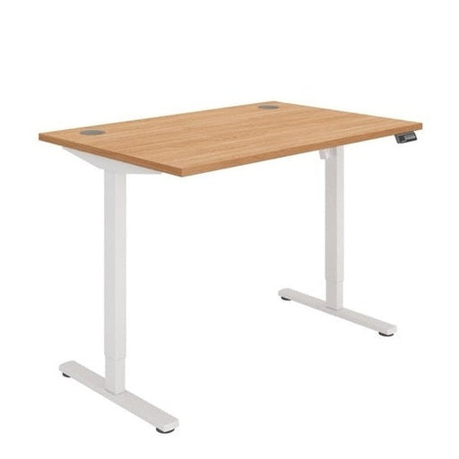Office Rectangular Single Motor Sit Stand Desk (FSC)