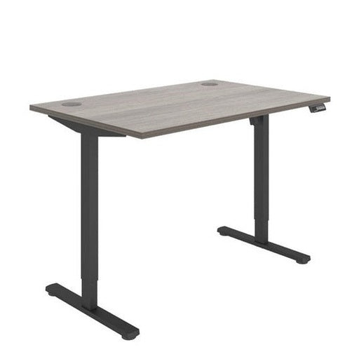 Office Rectangular Single Motor Sit Stand Desk (FSC)