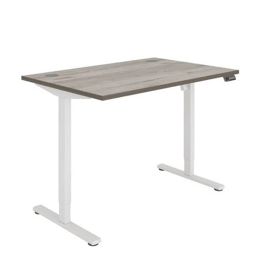 Office Rectangular Single Motor Sit Stand Desk (FSC)