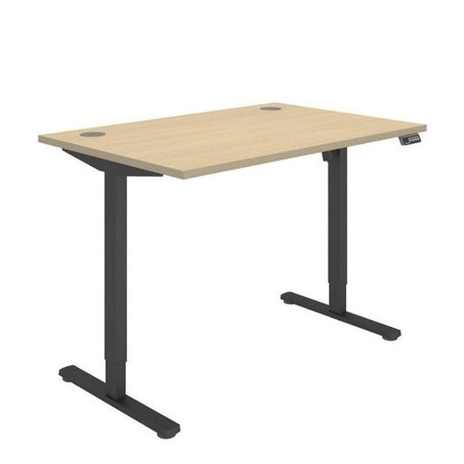 Office Rectangular Single Motor Sit Stand Desk (FSC)