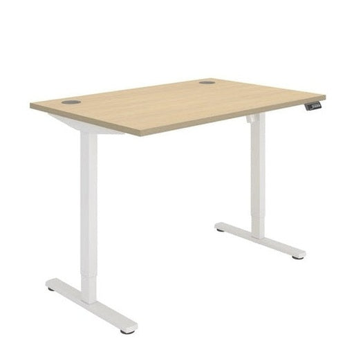 Office Rectangular Single Motor Sit Stand Desk (FSC)