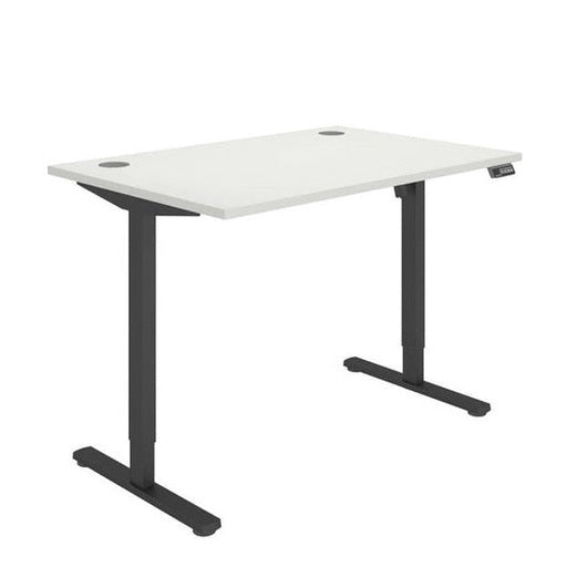 Office Rectangular Single Motor Sit Stand Desk (FSC)