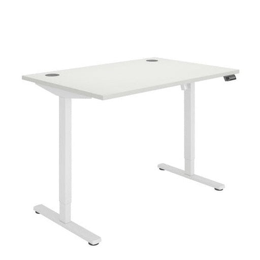 Office Rectangular Single Motor Sit Stand Desk (FSC)