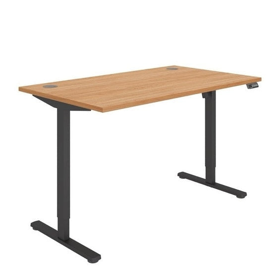 Office Rectangular Single Motor Sit Stand Desk (FSC)