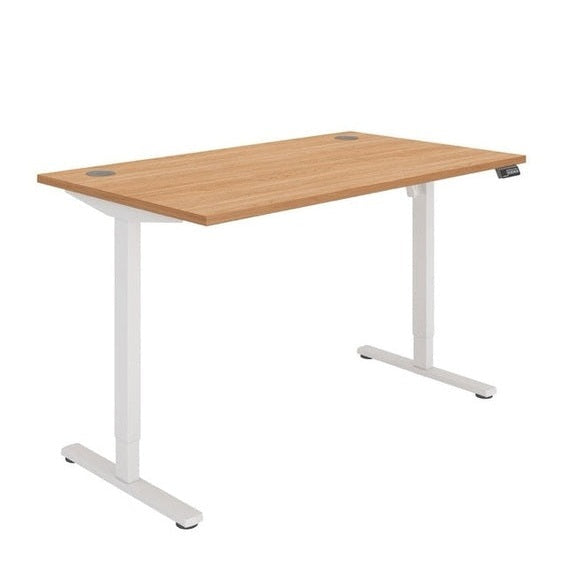 Office Rectangular Single Motor Sit Stand Desk (FSC)