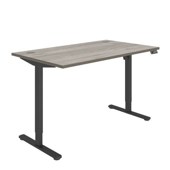 Office Rectangular Single Motor Sit Stand Desk (FSC)