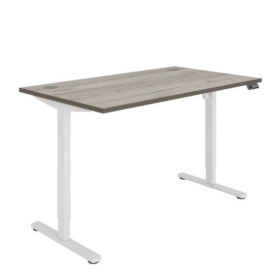 Office Rectangular Single Motor Sit Stand Desk (FSC)
