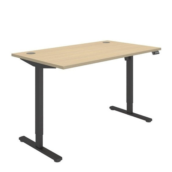 Office Rectangular Single Motor Sit Stand Desk (FSC)