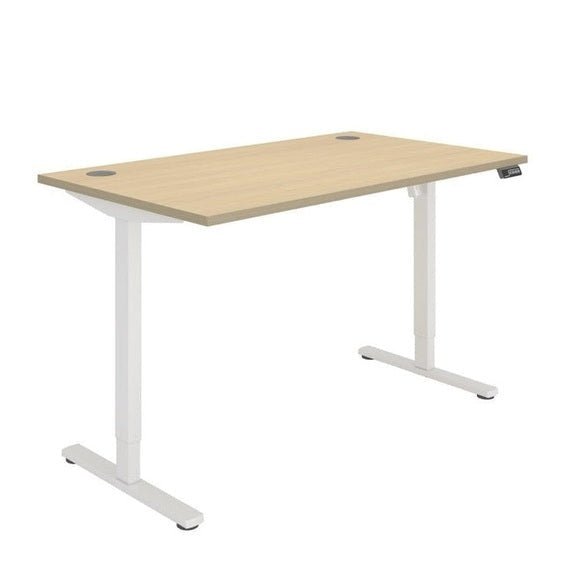 Office Rectangular Single Motor Sit Stand Desk (FSC)