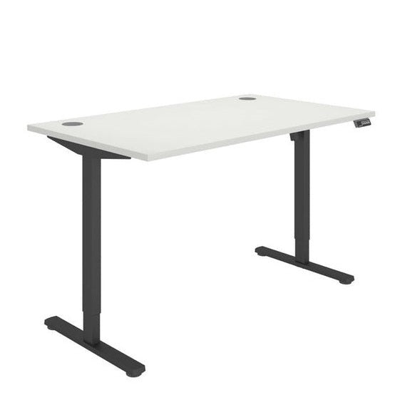 Office Rectangular Single Motor Sit Stand Desk (FSC)