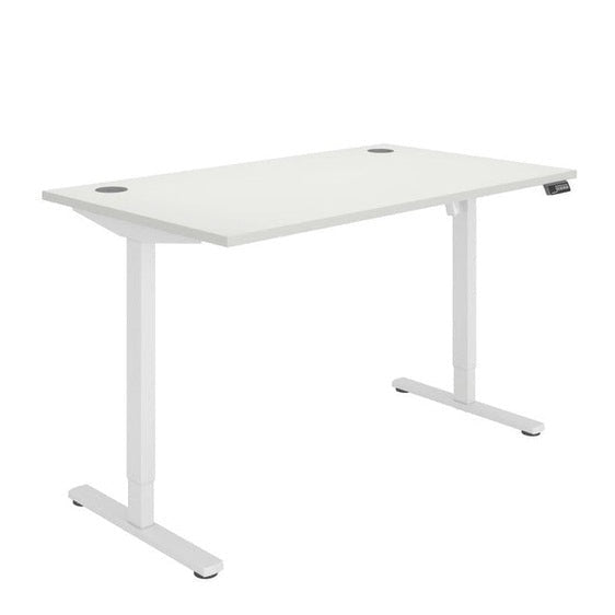 Office Rectangular Single Motor Sit Stand Desk (FSC)