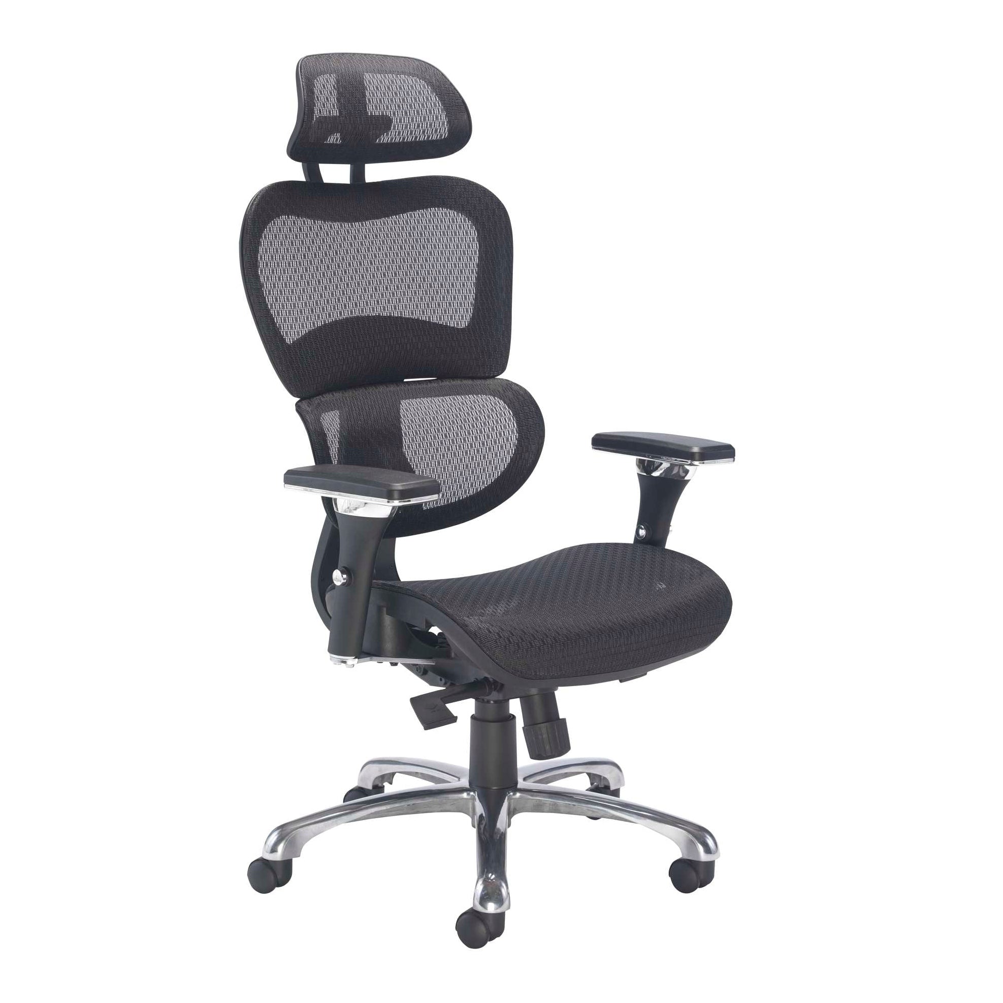 Chachi Ergonomic Office Chair