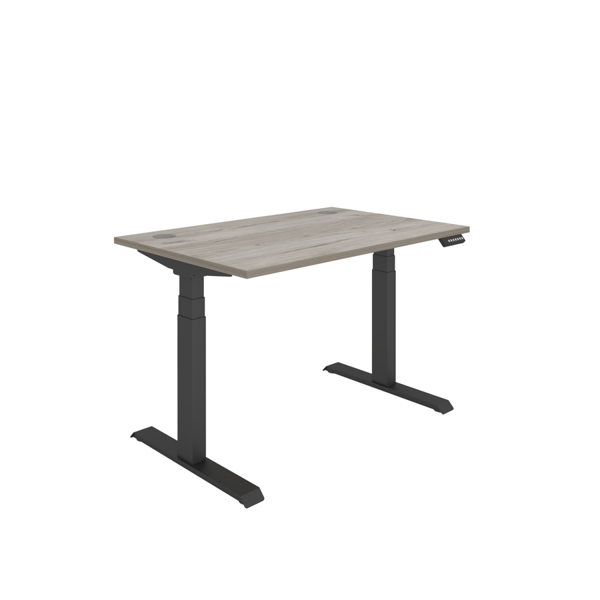 Office Rectangular Dual Motor Sit Stand Desk (FSC)