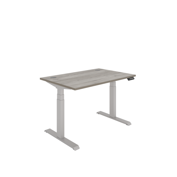 Office Rectangular Dual Motor Sit Stand Desk (FSC)