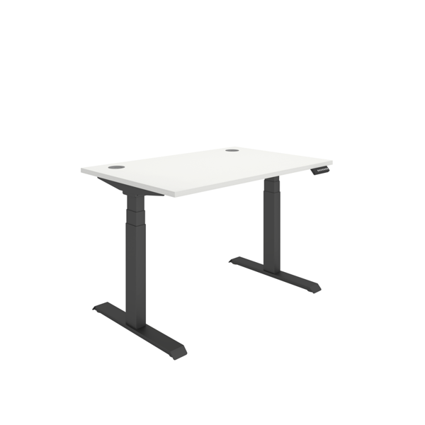 Office Rectangular Dual Motor Sit Stand Desk (FSC)