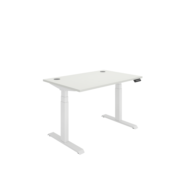 Office Rectangular Dual Motor Sit Stand Desk (FSC)