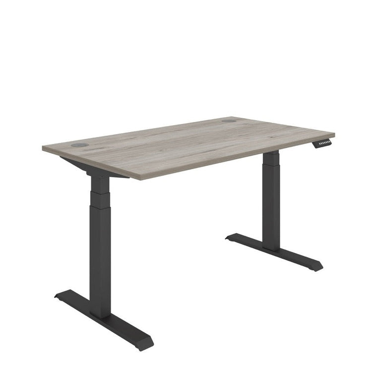 Office Rectangular Dual Motor Sit Stand Desk (FSC)