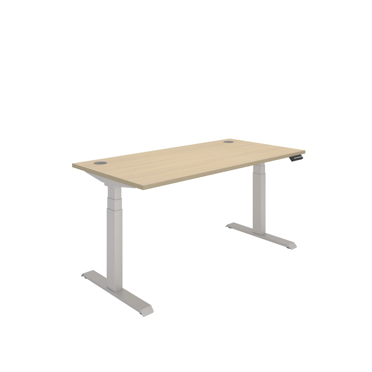 Office Rectangular Dual Motor Sit Stand Desk (FSC)