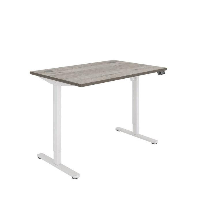 Office Rectangular Single Motor Sit Stand Desk (FSC)